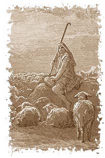 A shepherd with sheep.