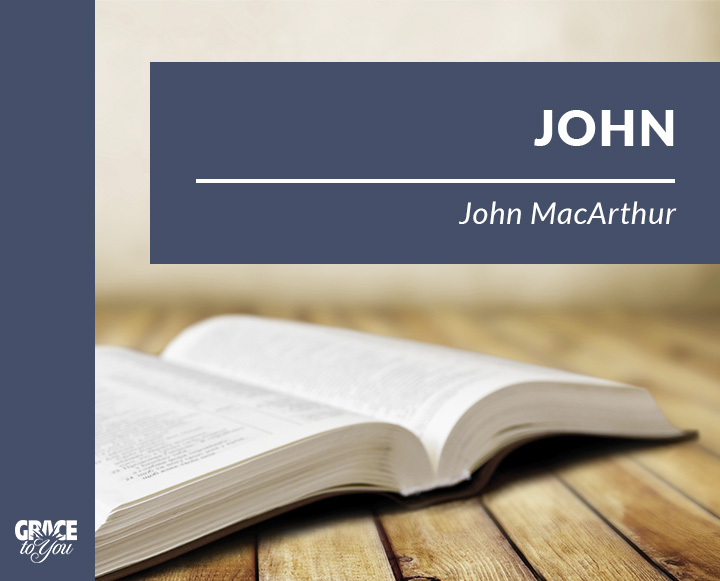 John, Vol. 6
(Bible-Book Series)