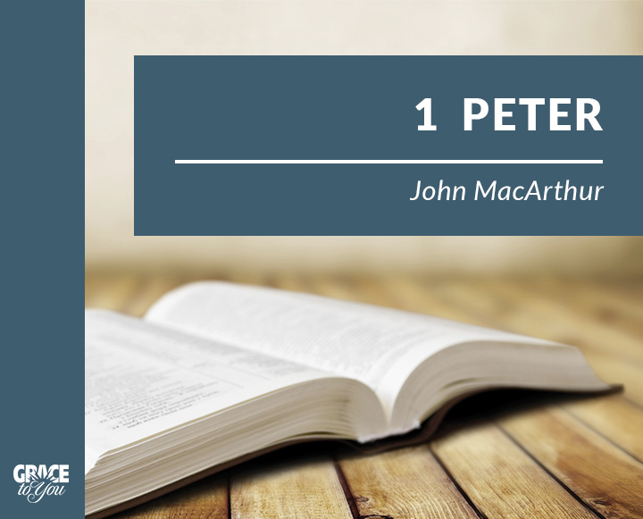 1 & 2 Peter, Vol. 02
(Bible-Book Series)