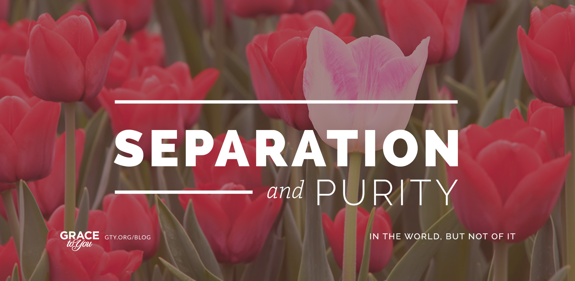 Separation and Purity