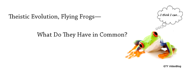 Theistic Evolution, Flying Frogs—What Do They Have in Common?