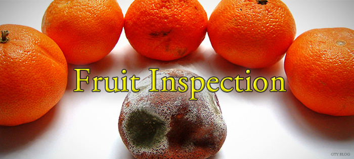 Fruit Inspection