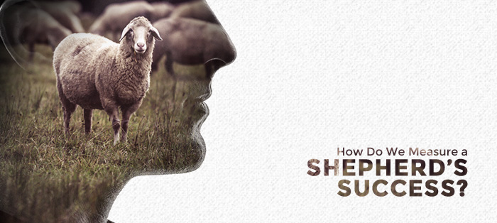 How Do We Measure a Shepherd's Success?